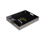 ionic battery tray