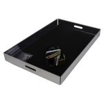 ionic battery tray