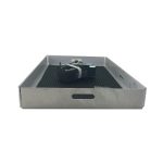 ionic battery tray