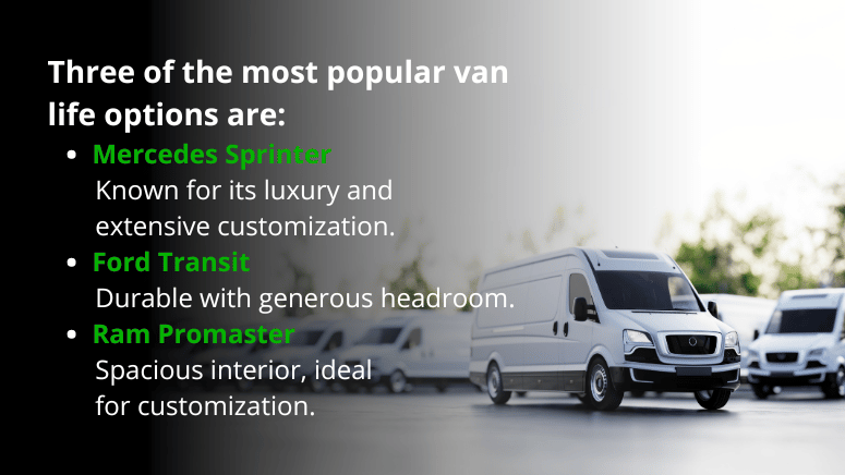 best vans for van life mercedes b1 (2.2)