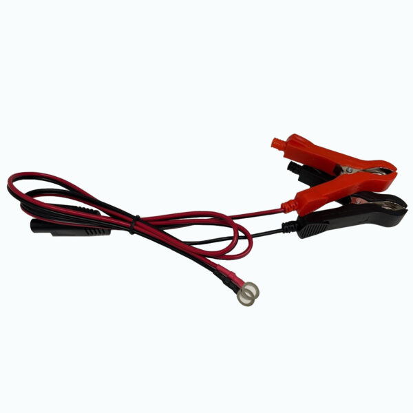 ionic lithium lifepo4 12v 2a trickle charger